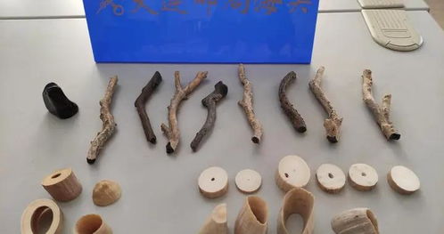 馬牙生物制品 探索傳統與現代的融合