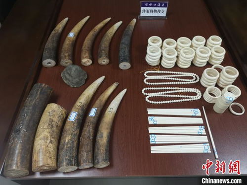 水口海關向林業局移交走私動物制品，加強生物資源保護執法合作